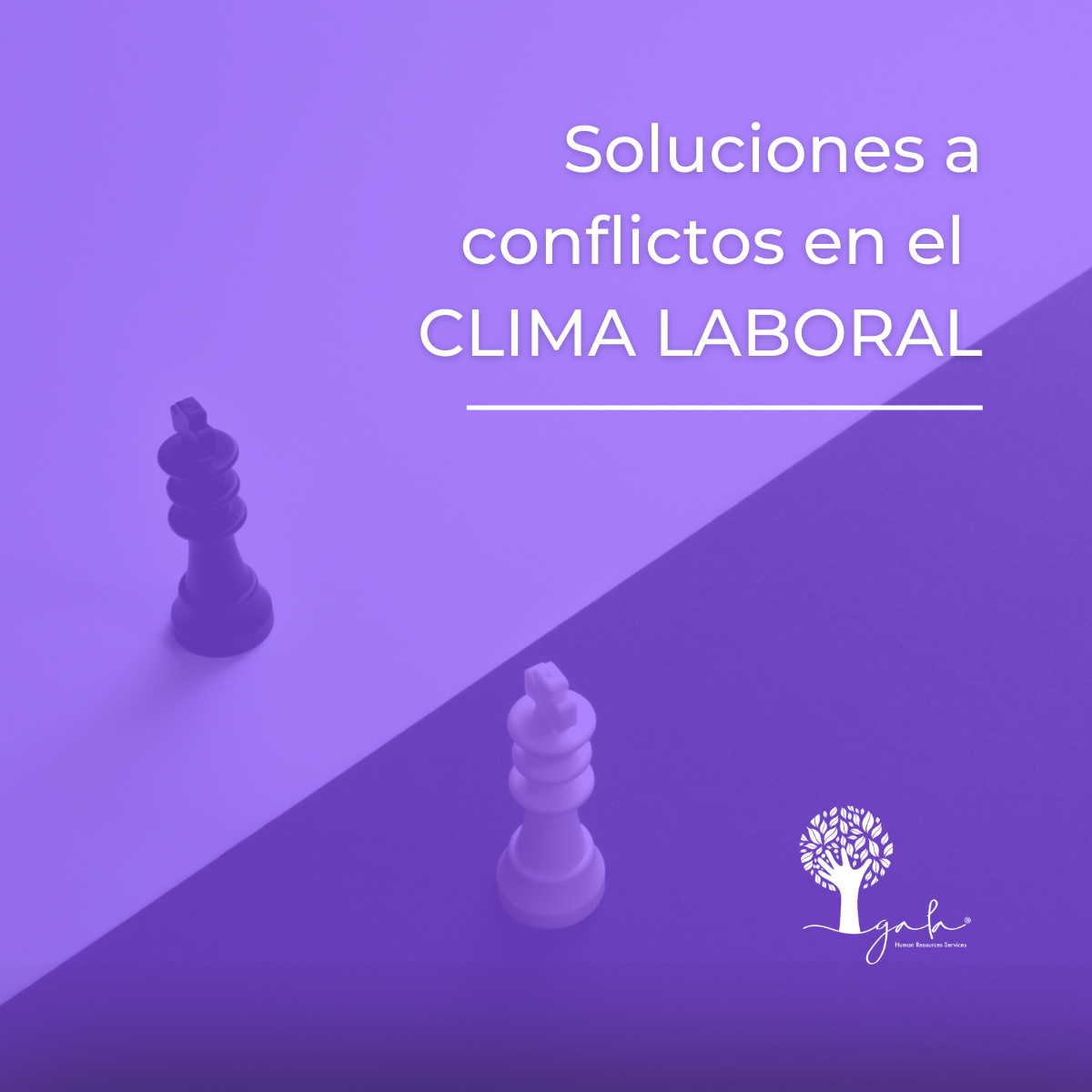 Soluciones a conflictos en el Clima Laboral