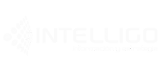 Intelligo